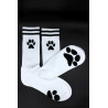 Sk8erboy Socks Puppy Sk8terboy